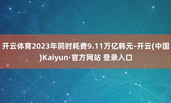 开云体育2023年同时耗费9.11万亿韩元-开云(中国)Kaiyun·官方网站 登录入口