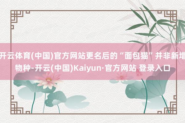 开云体育(中国)官方网站更名后的“面包猫”并非新增物种-开云(中国)Kaiyun·官方网站 登录入口