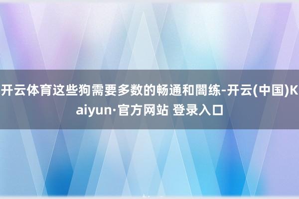 开云体育这些狗需要多数的畅通和闇练-开云(中国)Kaiyun·官方网站 登录入口