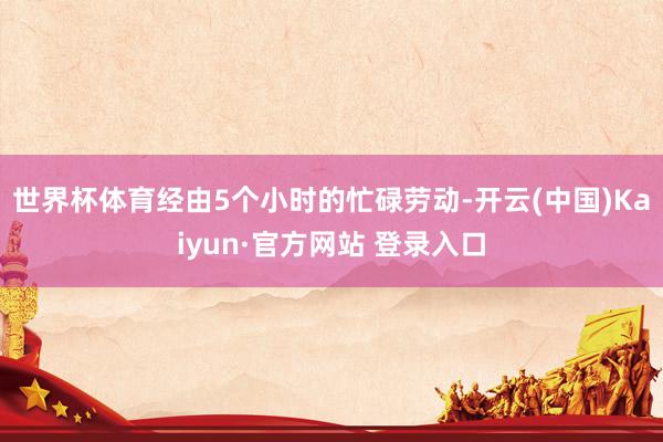 世界杯体育经由5个小时的忙碌劳动-开云(中国)Kaiyun·官方网站 登录入口