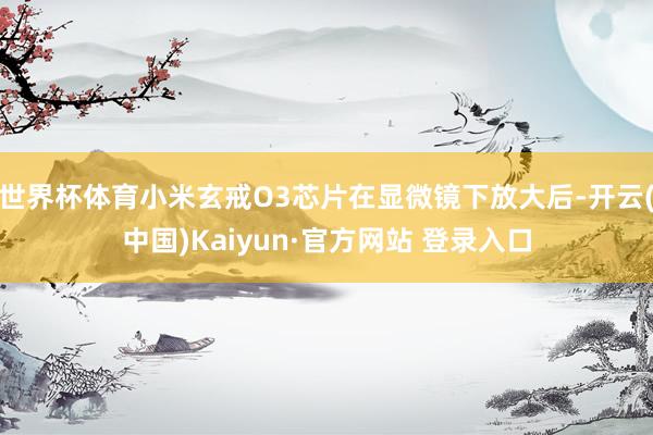 世界杯体育小米玄戒O3芯片在显微镜下放大后-开云(中国)Kaiyun·官方网站 登录入口
