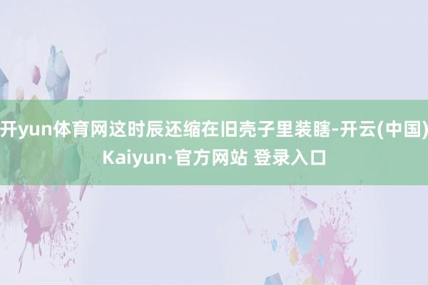 开yun体育网这时辰还缩在旧壳子里装瞎-开云(中国)Kaiyun·官方网站 登录入口